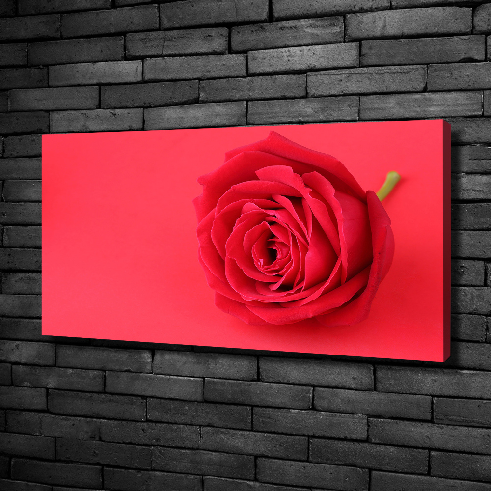 Tableau imprimé sur toile Rose rouge