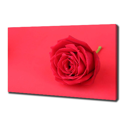 Tableau imprimé sur toile Rose rouge