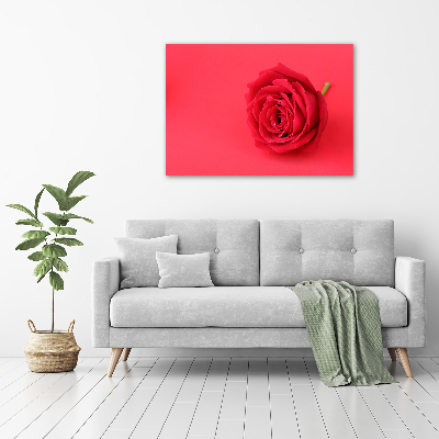 Tableau imprimé sur toile Rose rouge