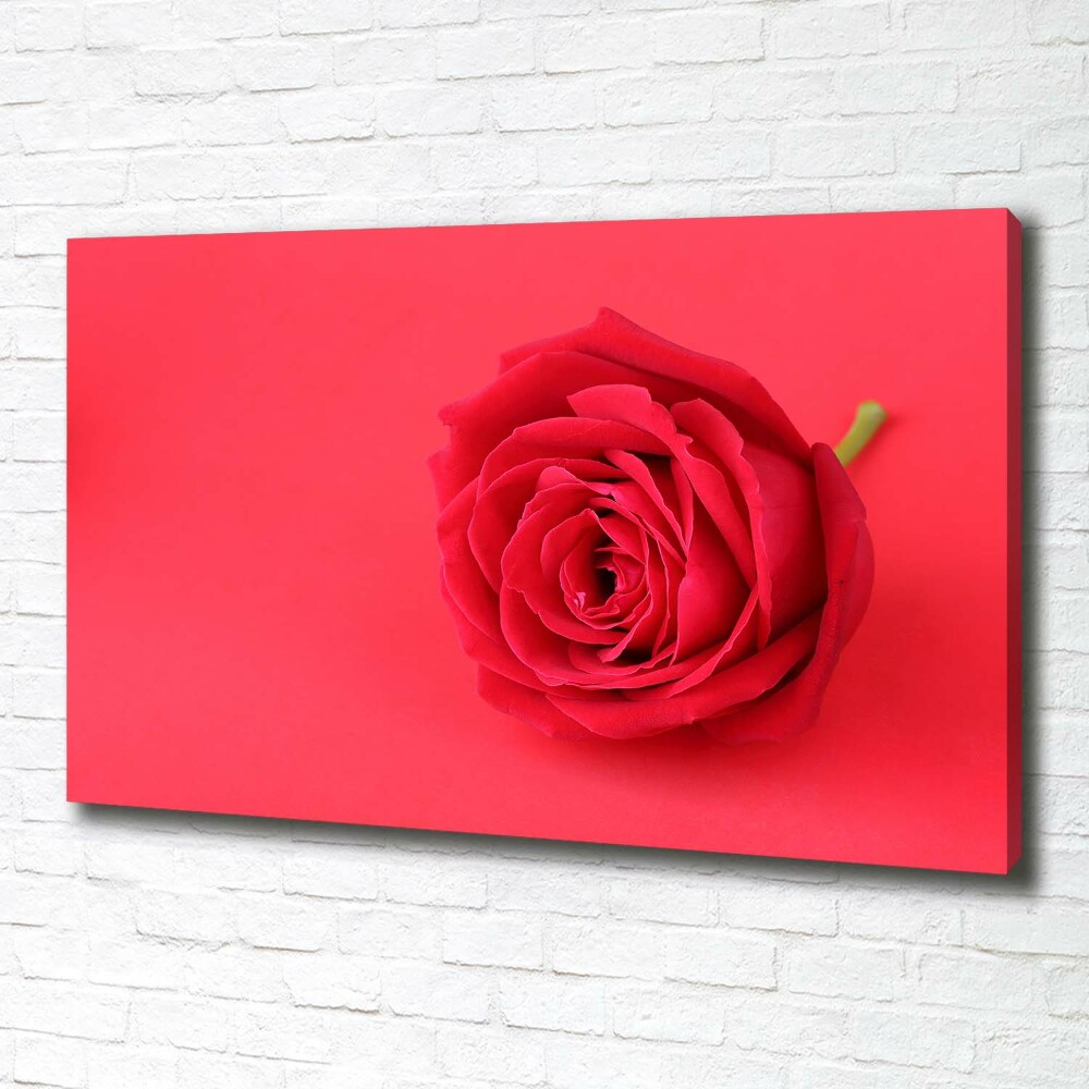 Tableau imprimé sur toile Rose rouge