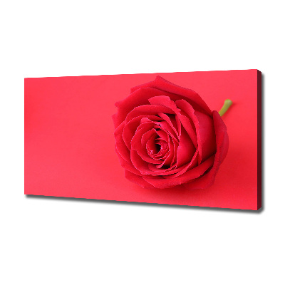 Tableau imprimé sur toile Rose rouge