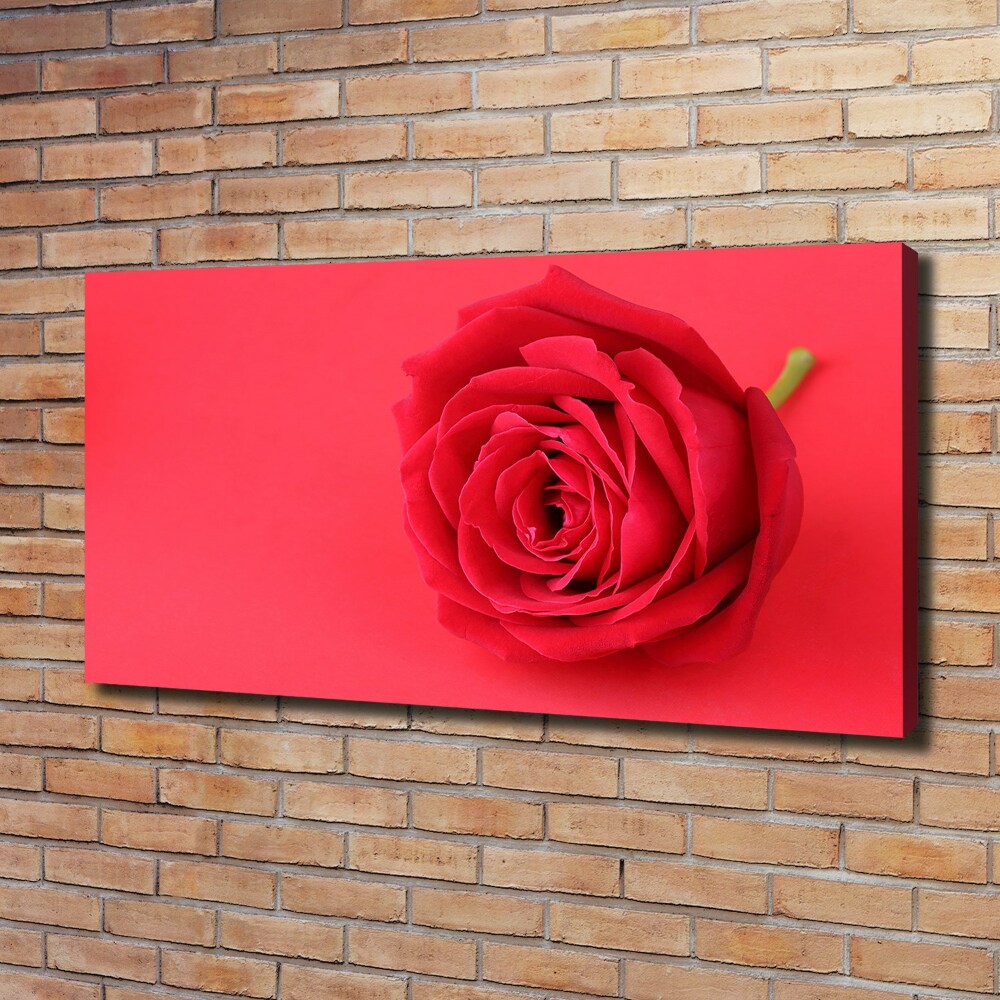 Tableau imprimé sur toile Rose rouge