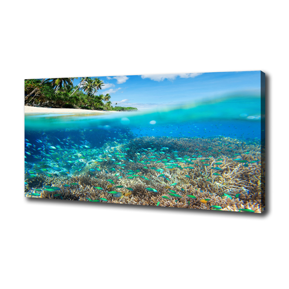 Tableau mural sur toile Récif de corail