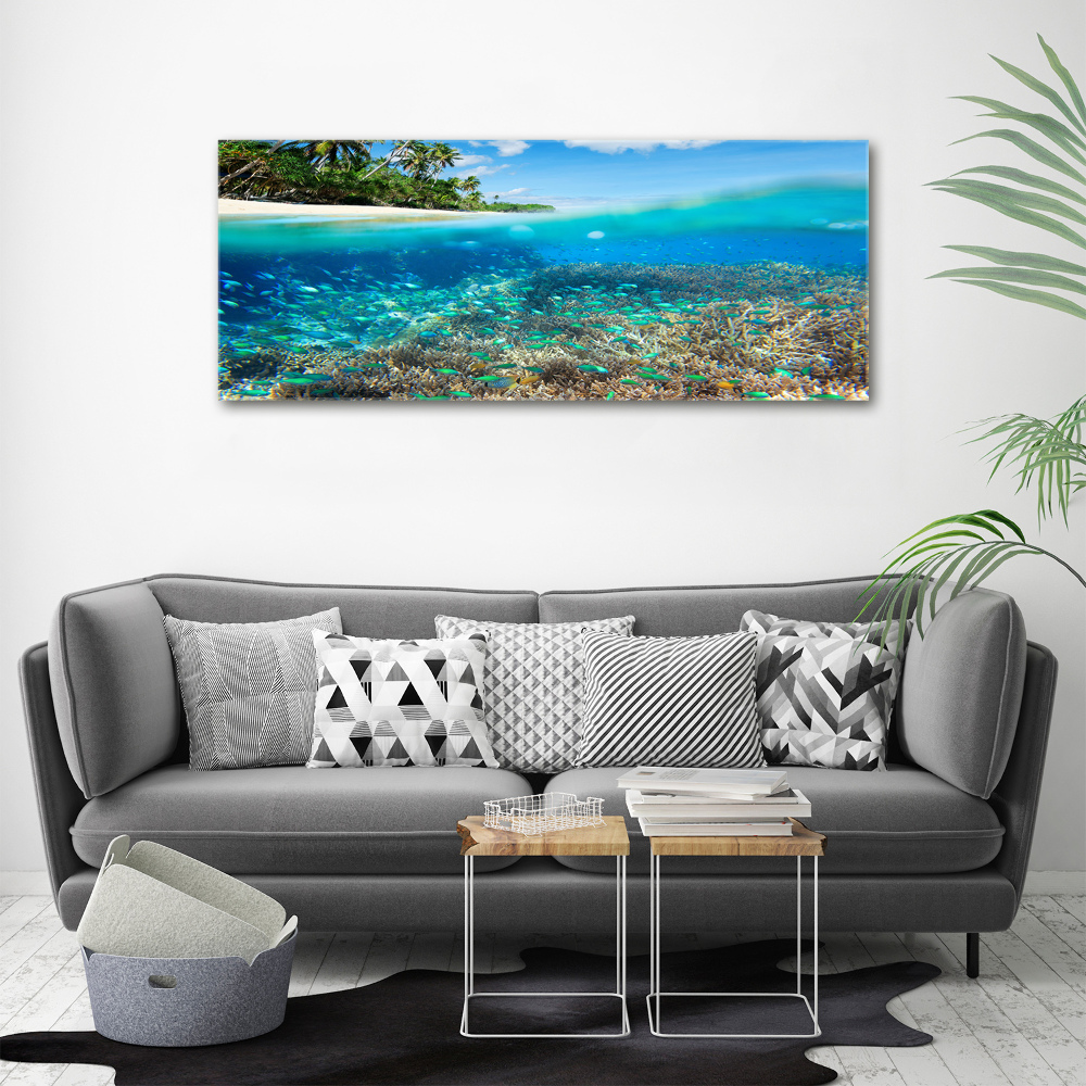 Tableau mural sur toile Récif de corail