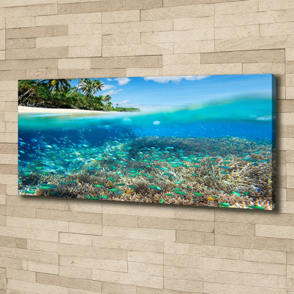 Tableau mural sur toile Récif de corail