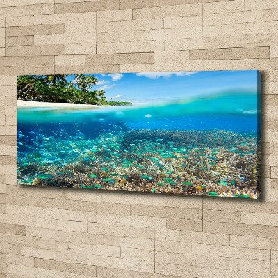 Tableau mural sur toile Récif de corail