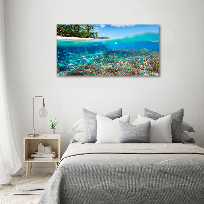 Tableau mural sur toile Récif de corail