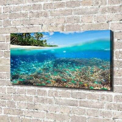 Tableau mural sur toile Récif de corail