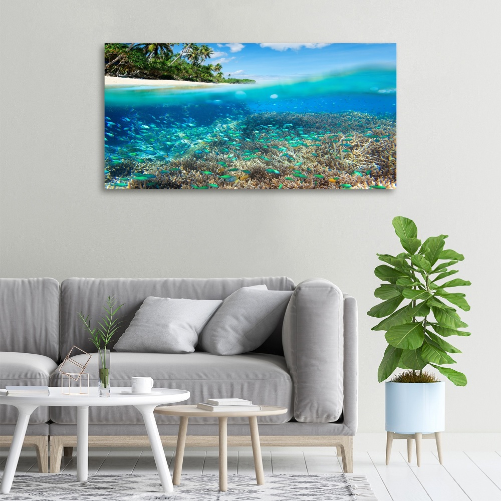 Tableau mural sur toile Récif de corail