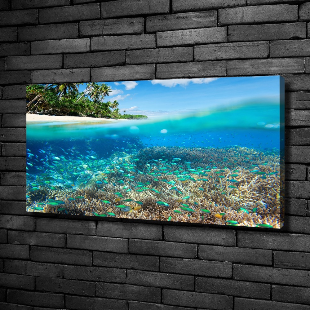 Tableau mural sur toile Récif de corail