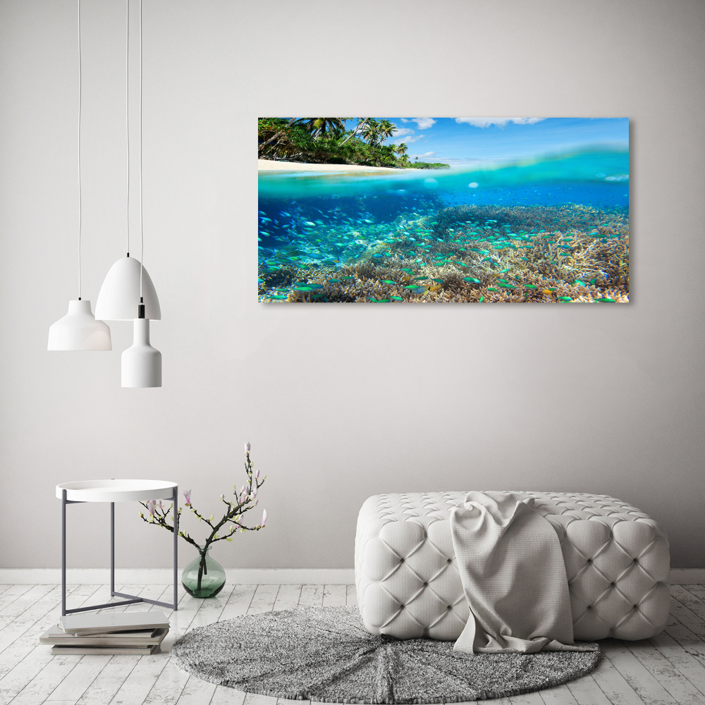 Tableau mural sur toile Récif de corail