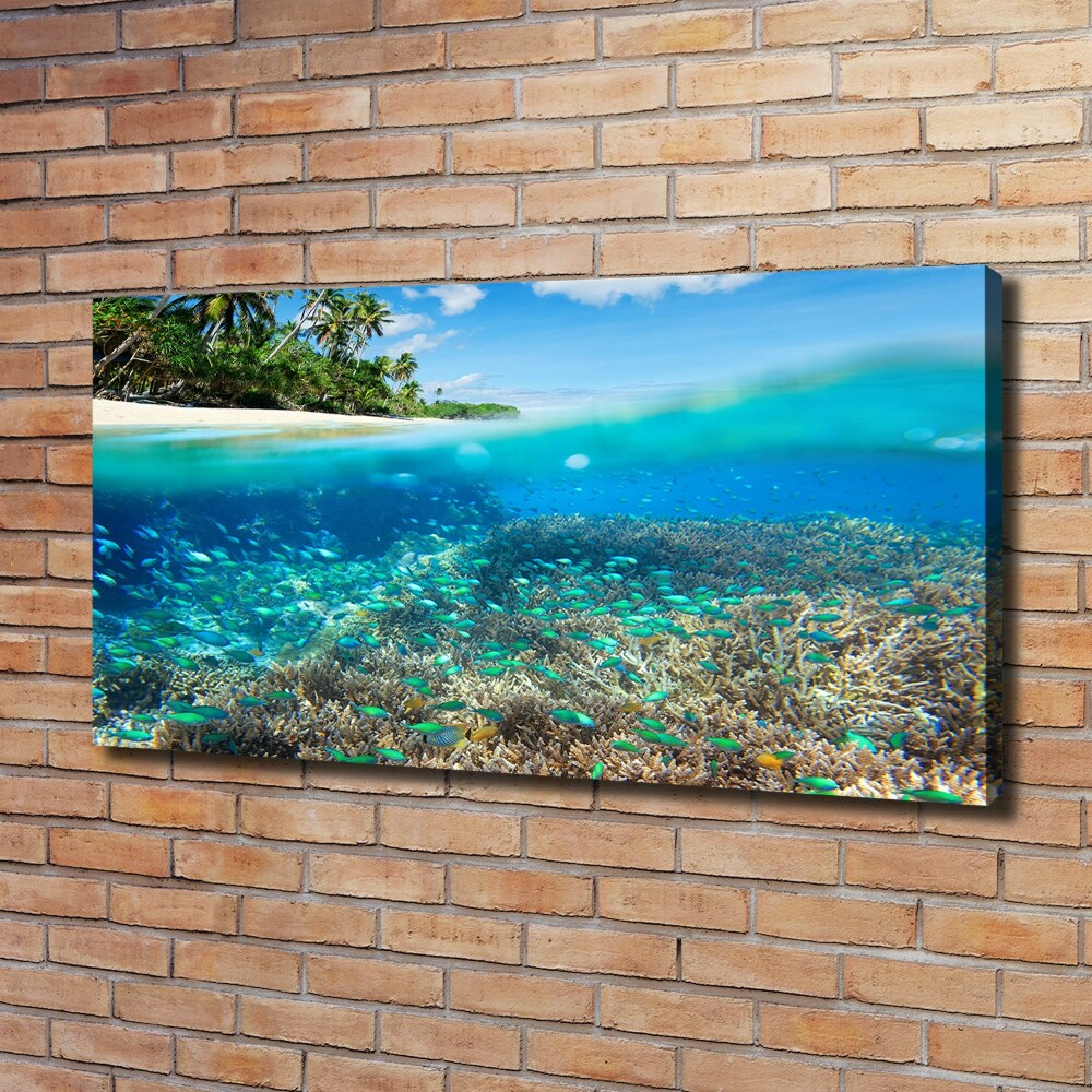 Tableau mural sur toile Récif de corail