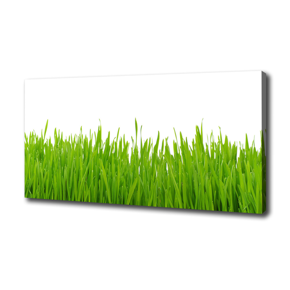 Tableau photo sur toile Herbe