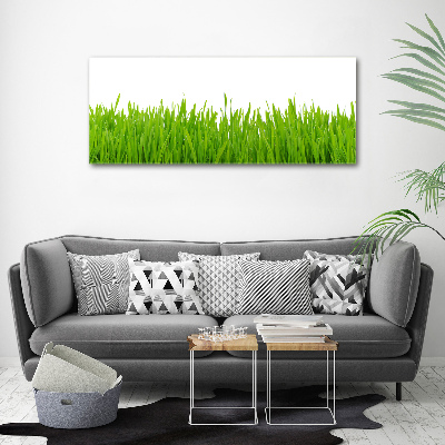 Tableau photo sur toile Herbe