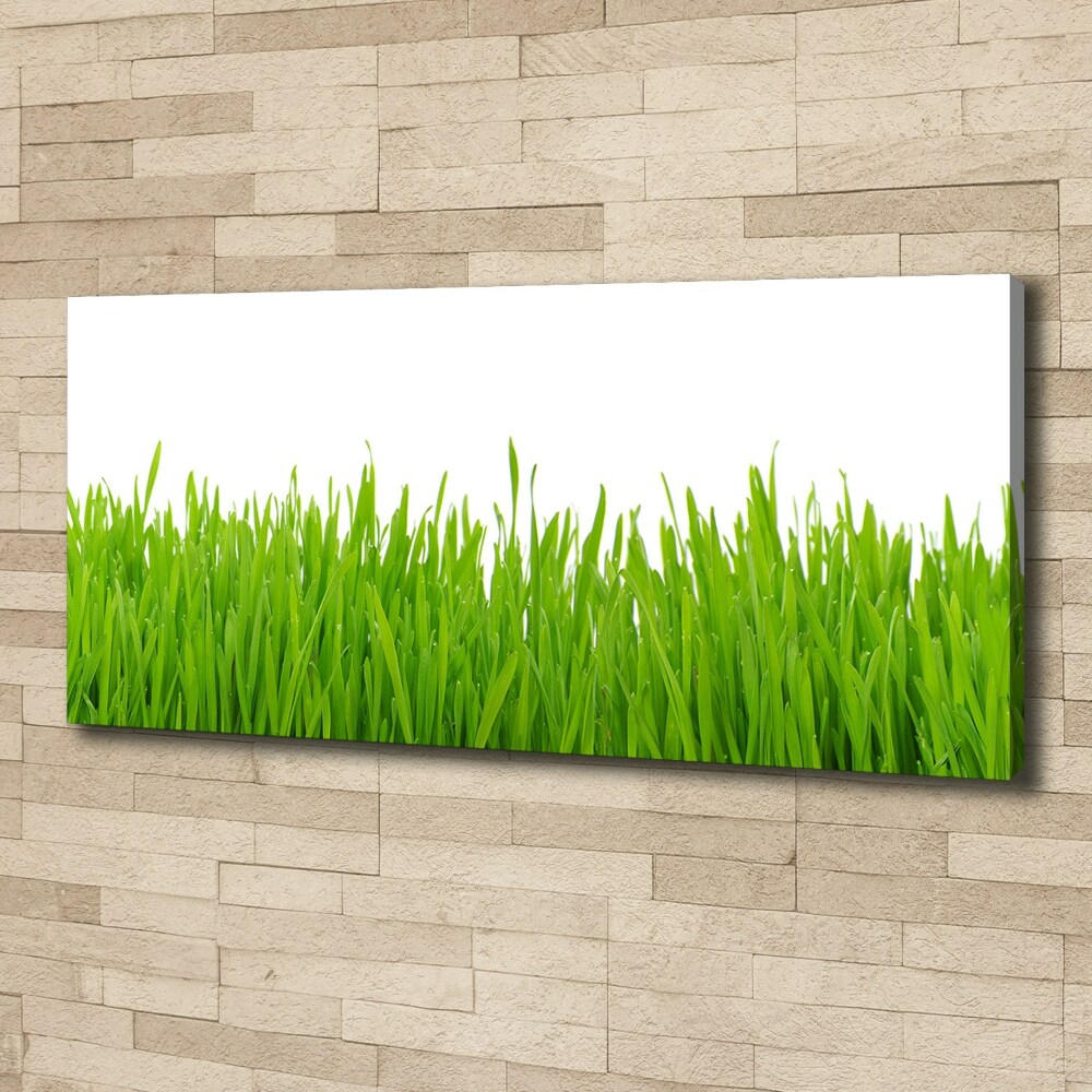 Tableau photo sur toile Herbe