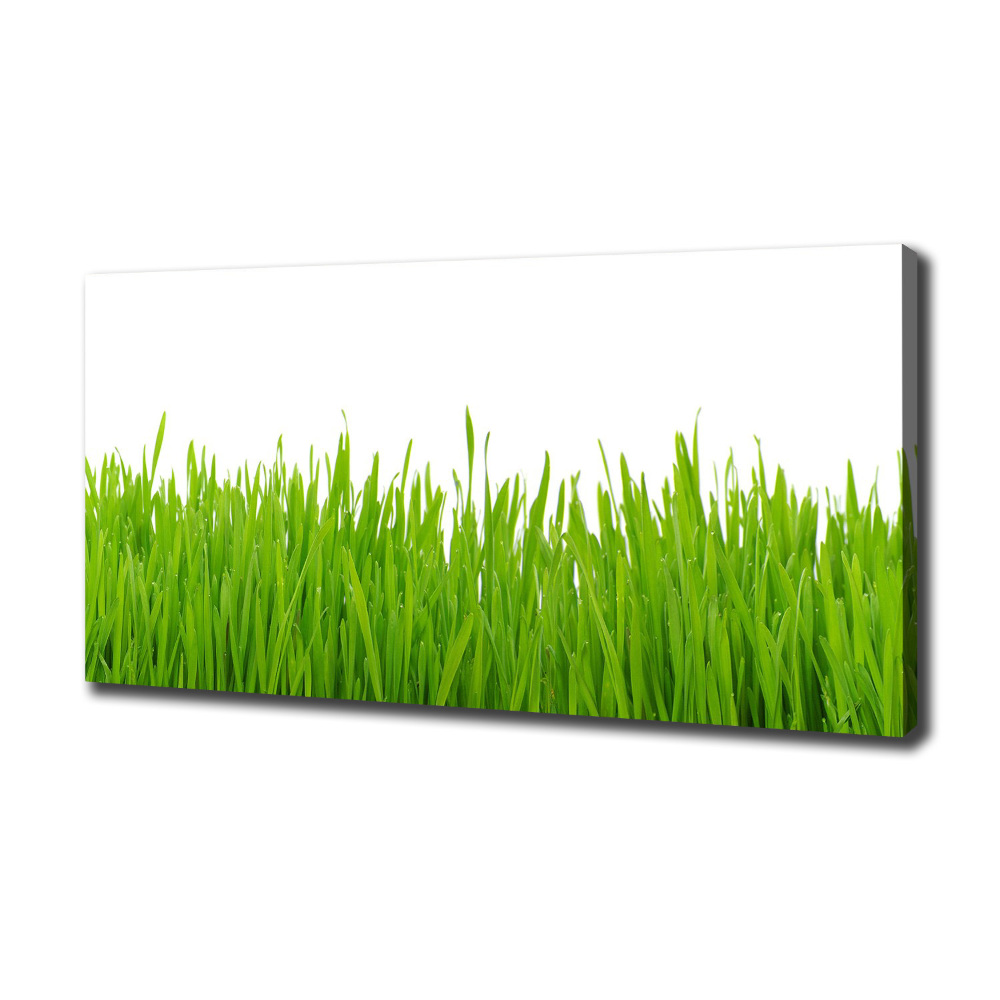 Tableau photo sur toile Herbe