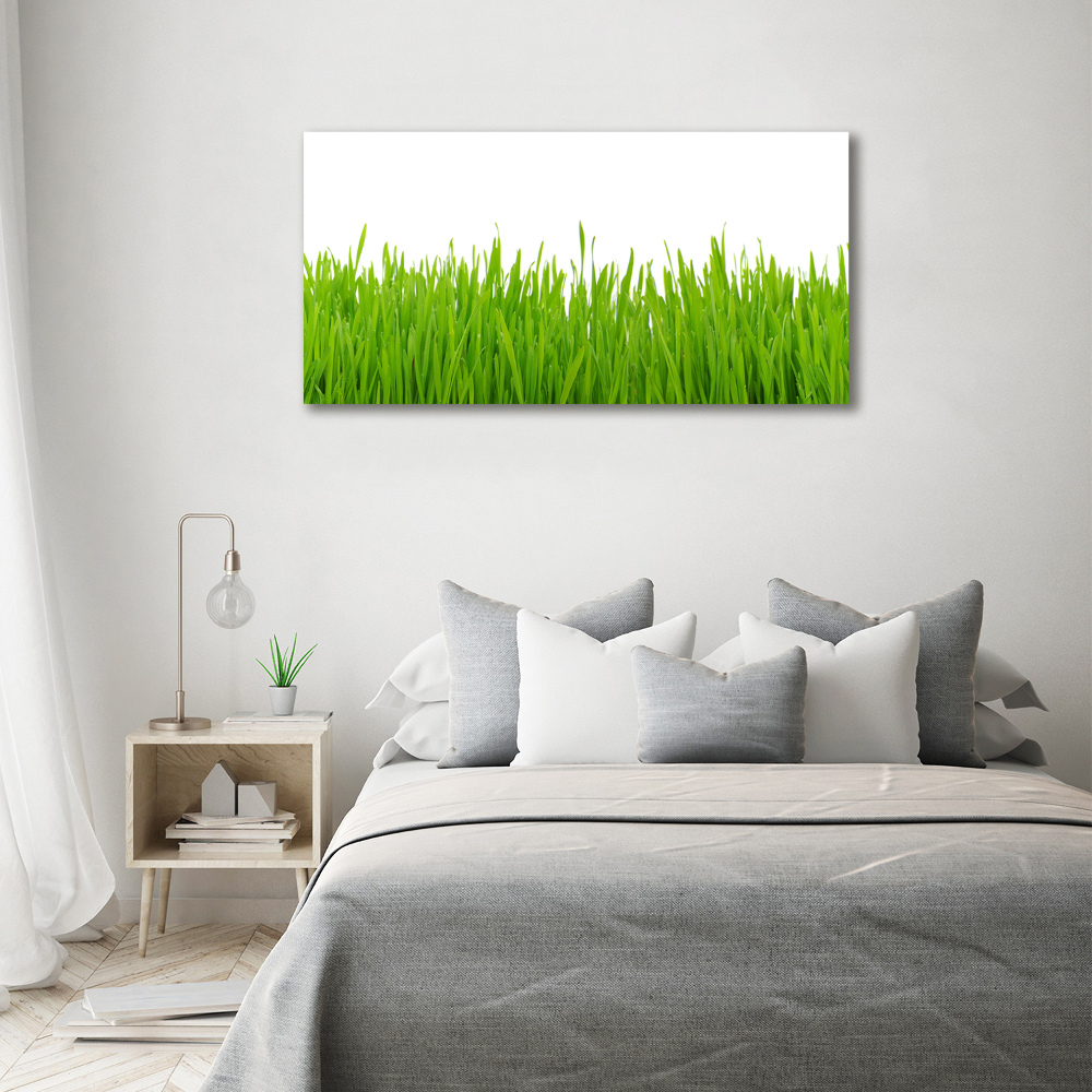 Tableau photo sur toile Herbe