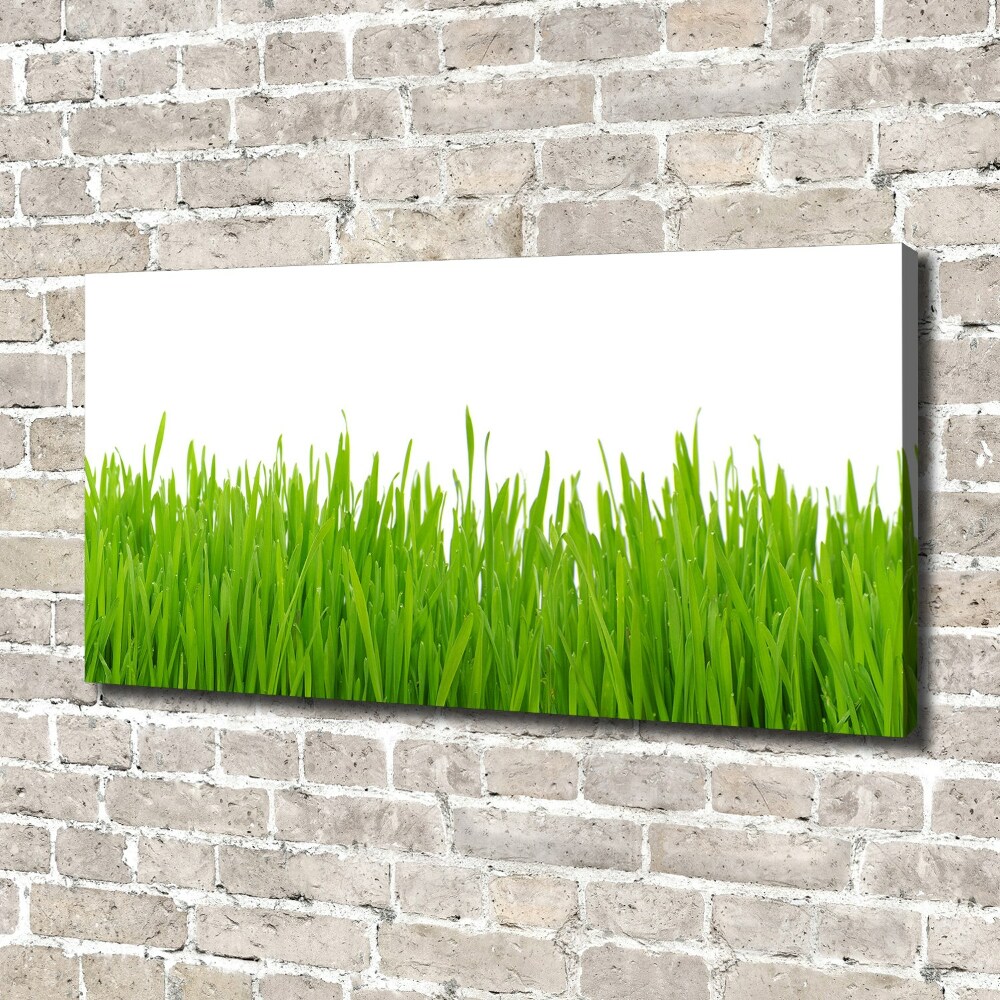 Tableau photo sur toile Herbe