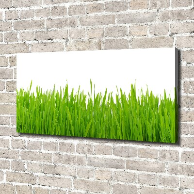 Tableau photo sur toile Herbe