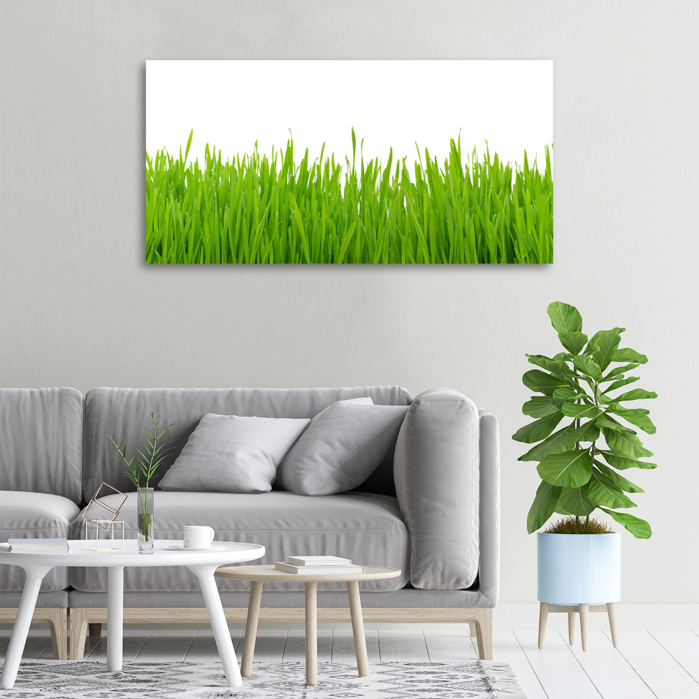 Tableau photo sur toile Herbe