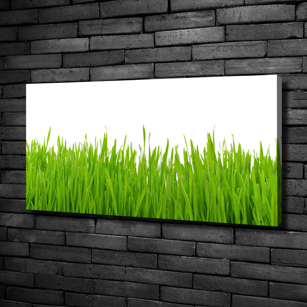 Tableau photo sur toile Herbe