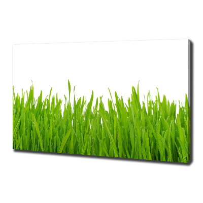 Tableau photo sur toile Herbe