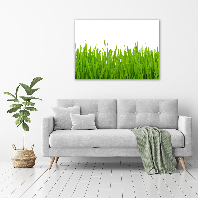 Tableau photo sur toile Herbe