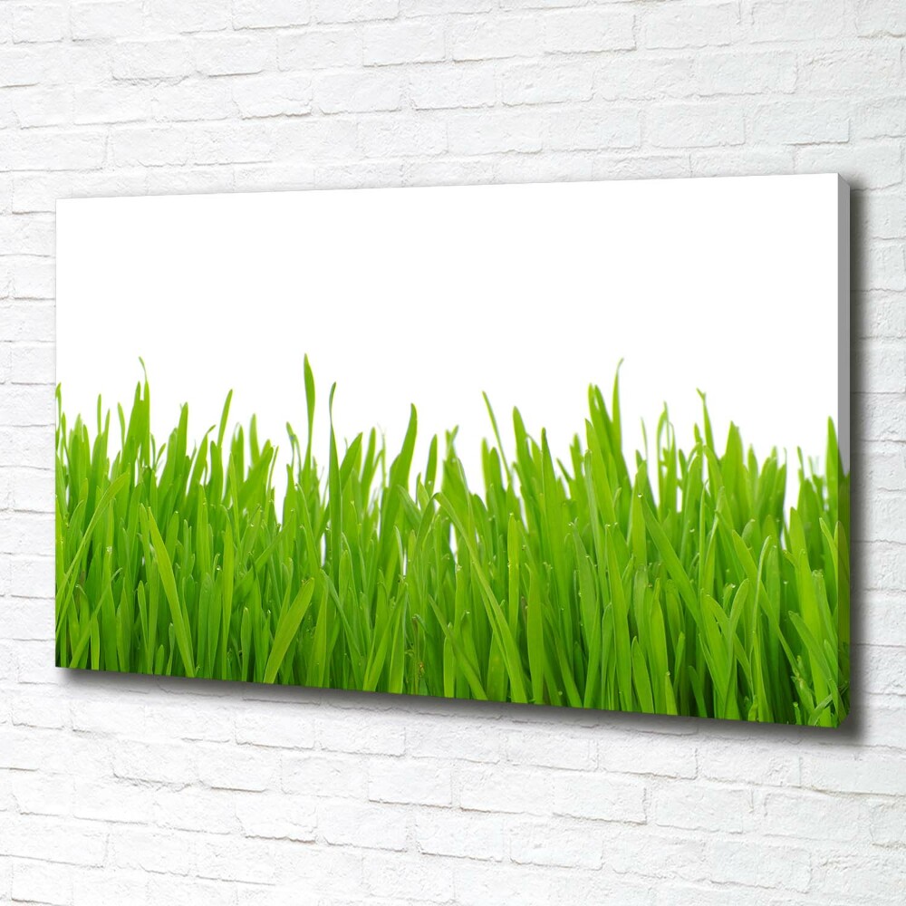 Tableau photo sur toile Herbe