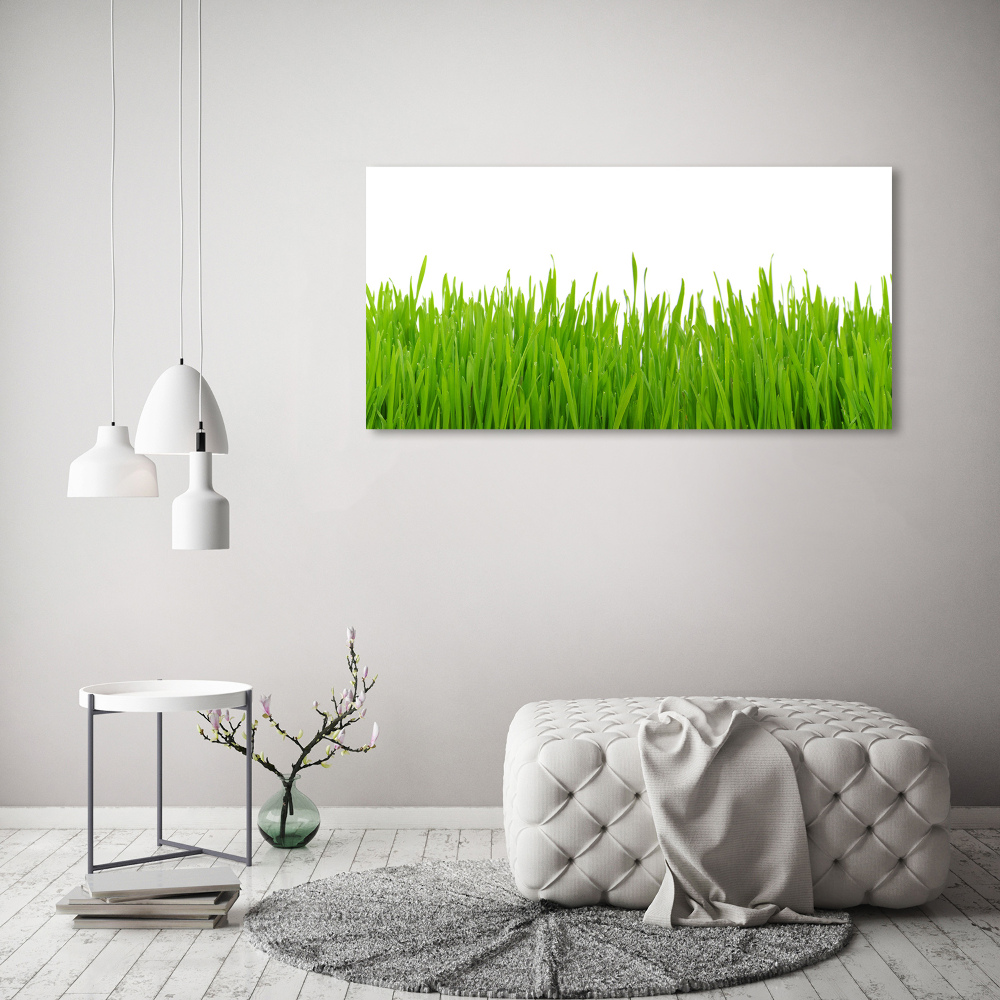 Tableau photo sur toile Herbe