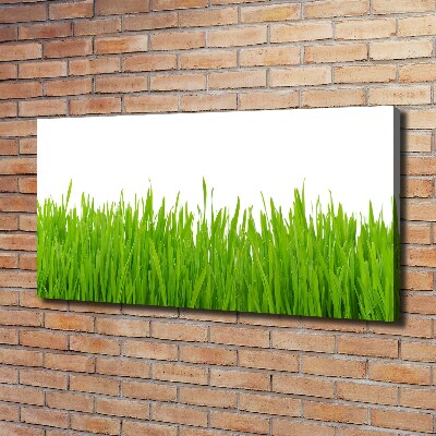 Tableau photo sur toile Herbe