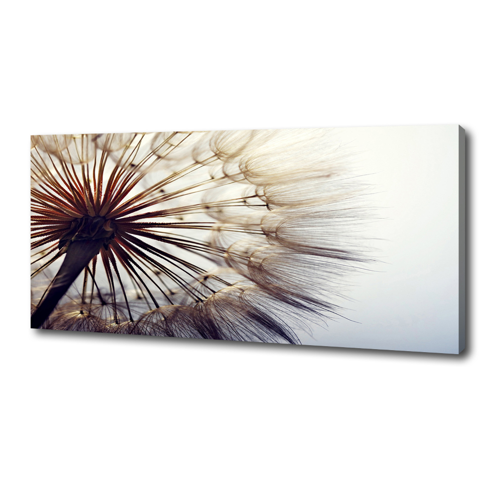 Tableau photo sur toile Gonflable