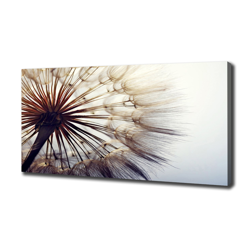 Tableau photo sur toile Gonflable