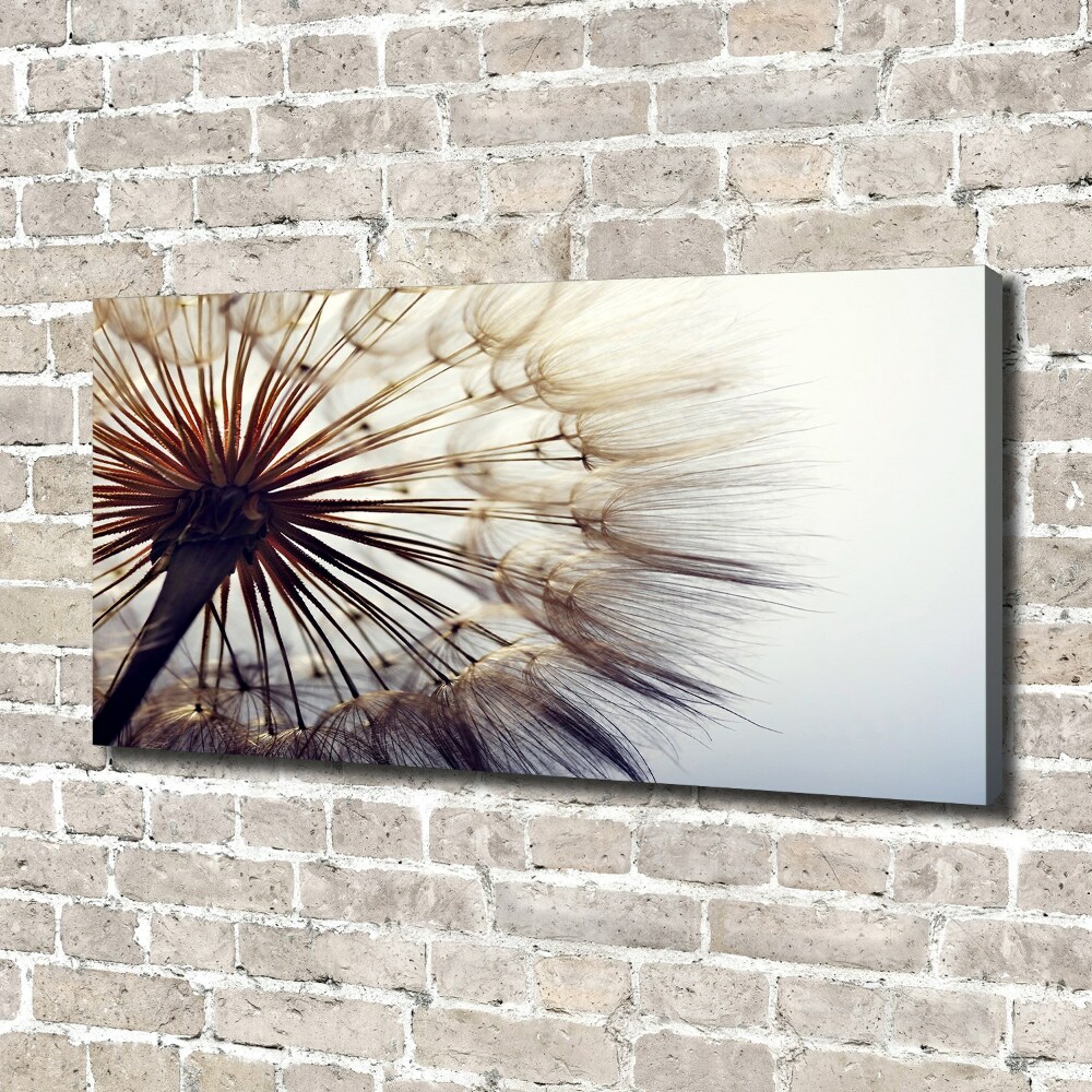 Tableau photo sur toile Gonflable