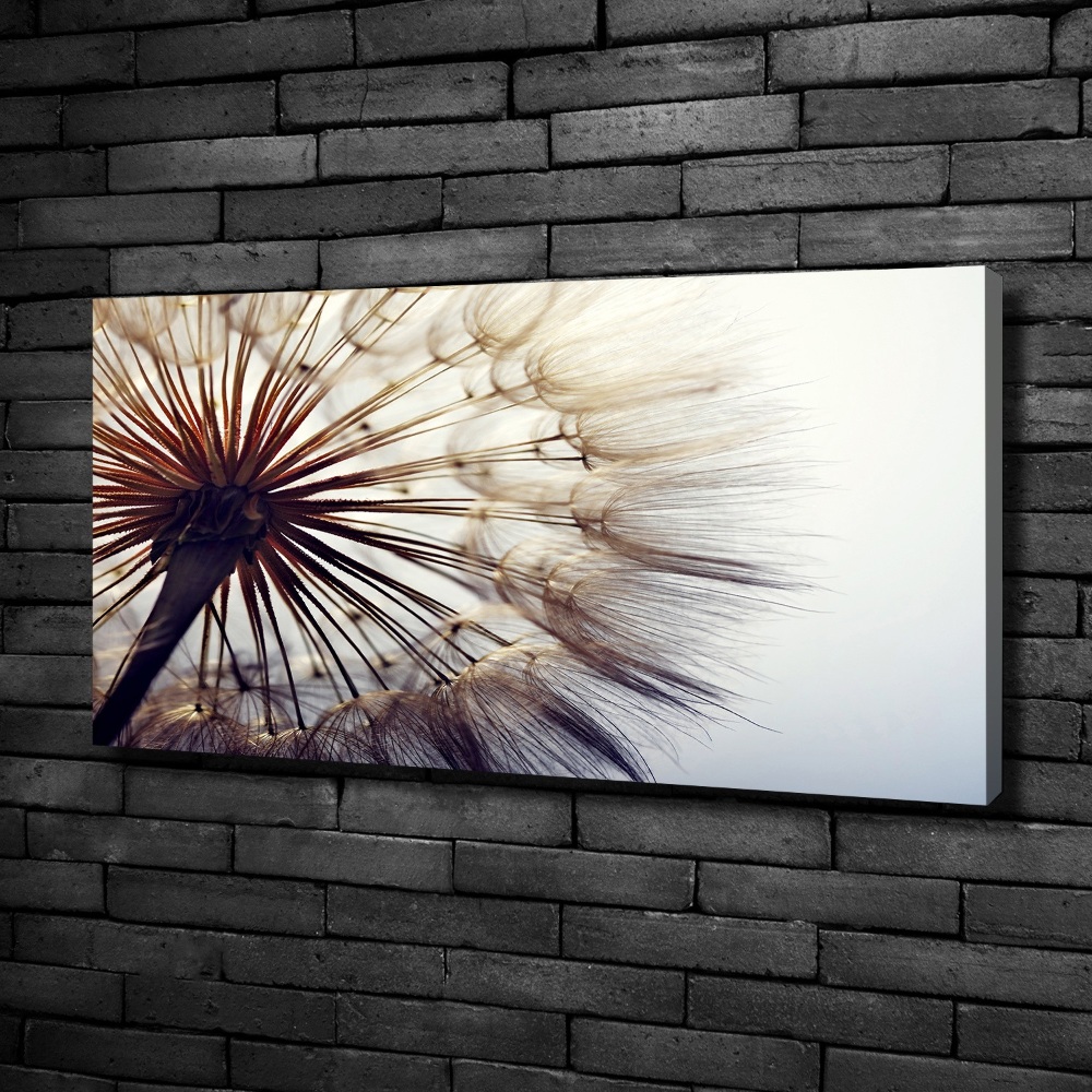 Tableau photo sur toile Gonflable