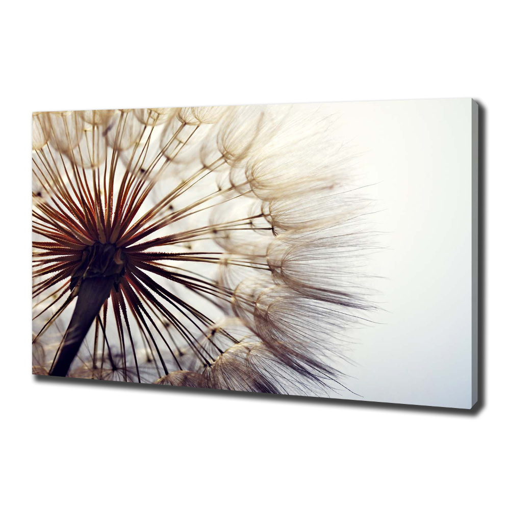 Tableau photo sur toile Gonflable