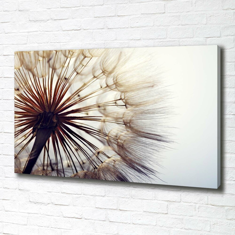 Tableau photo sur toile Gonflable