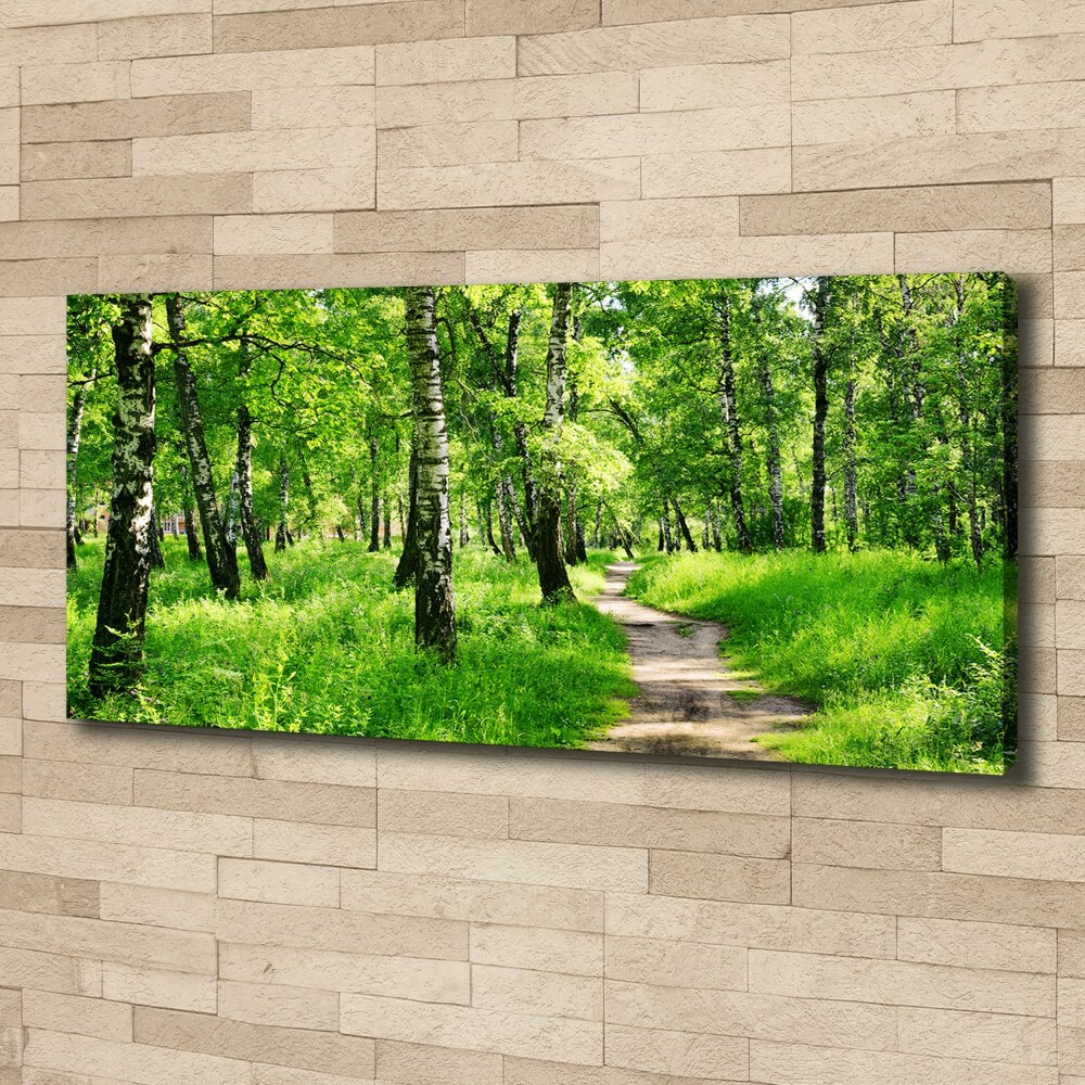 Tableau sur toile Forêt de bouleaux