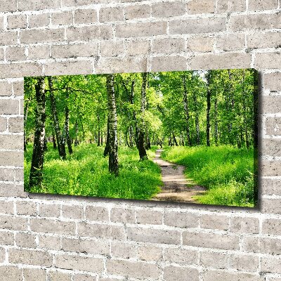 Tableau sur toile Forêt de bouleaux