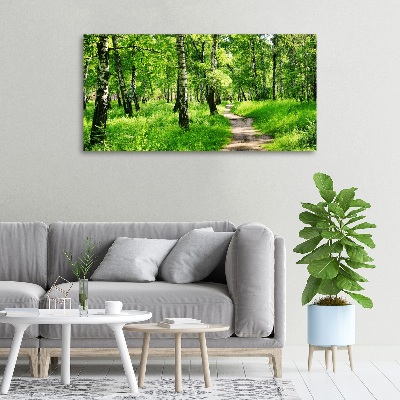 Tableau sur toile Forêt de bouleaux