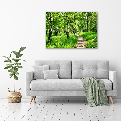 Tableau sur toile Forêt de bouleaux