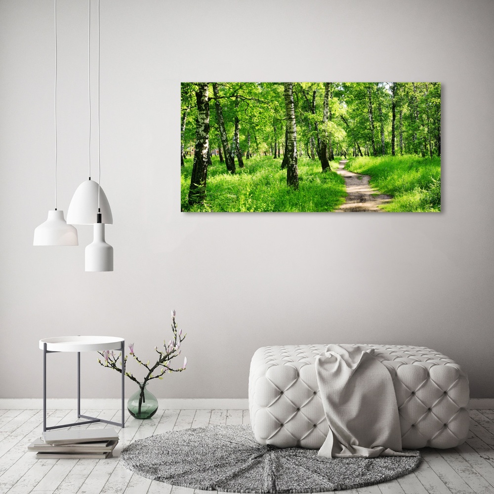 Tableau sur toile Forêt de bouleaux