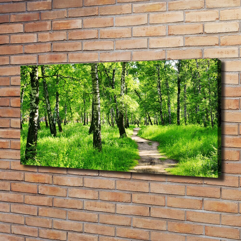 Tableau sur toile Forêt de bouleaux