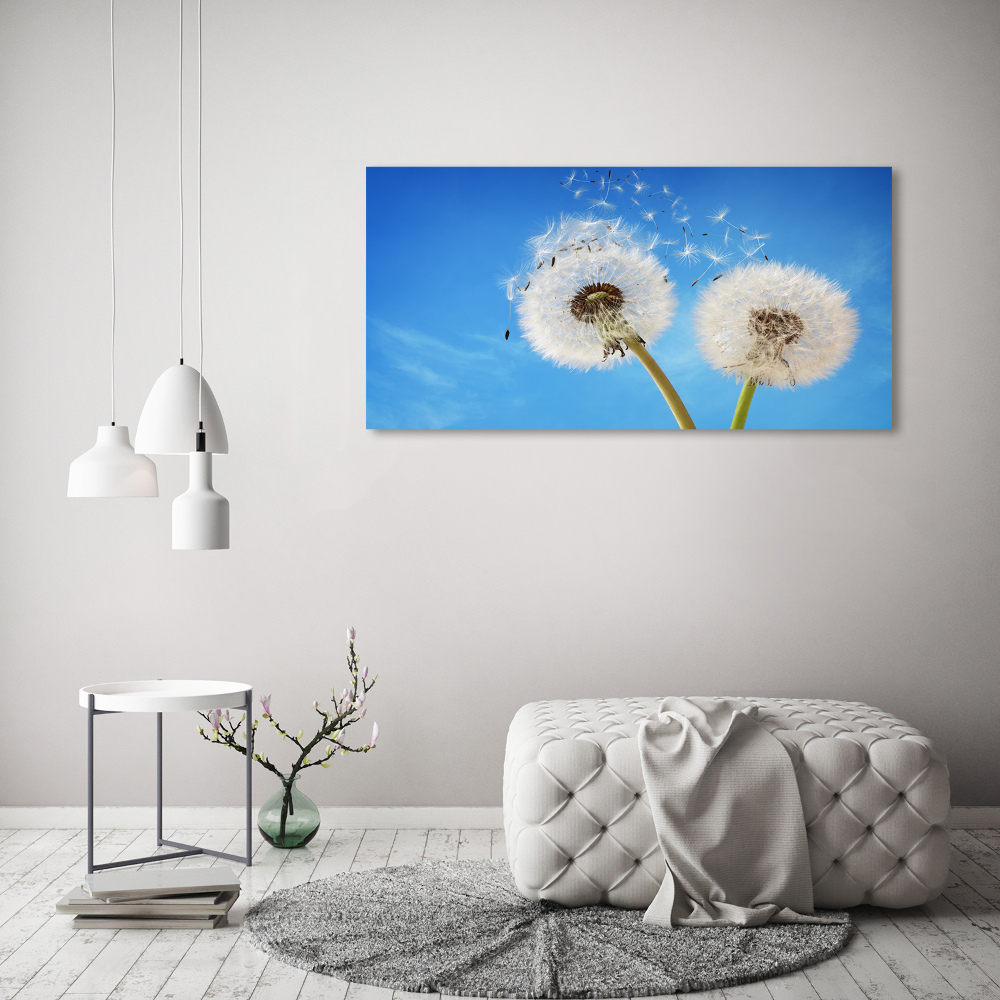 Tableau photo sur toile Gonflables