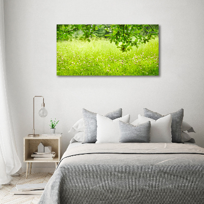 Tableau imprimé sur toile Pré vert