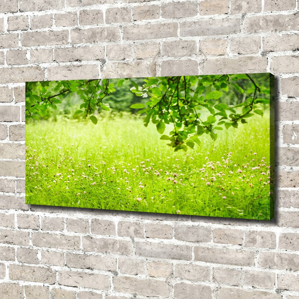 Tableau imprimé sur toile Pré vert