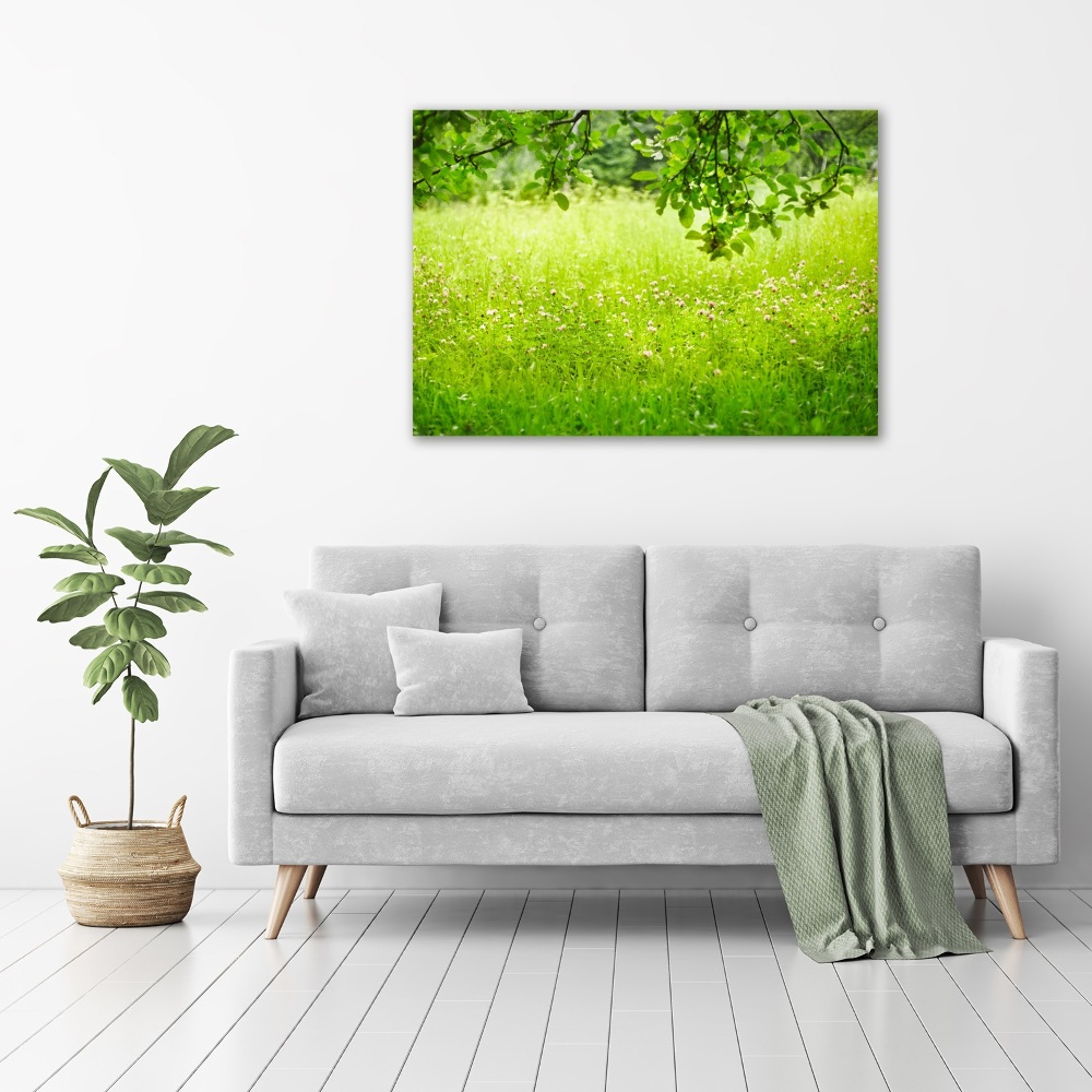 Tableau imprimé sur toile Pré vert