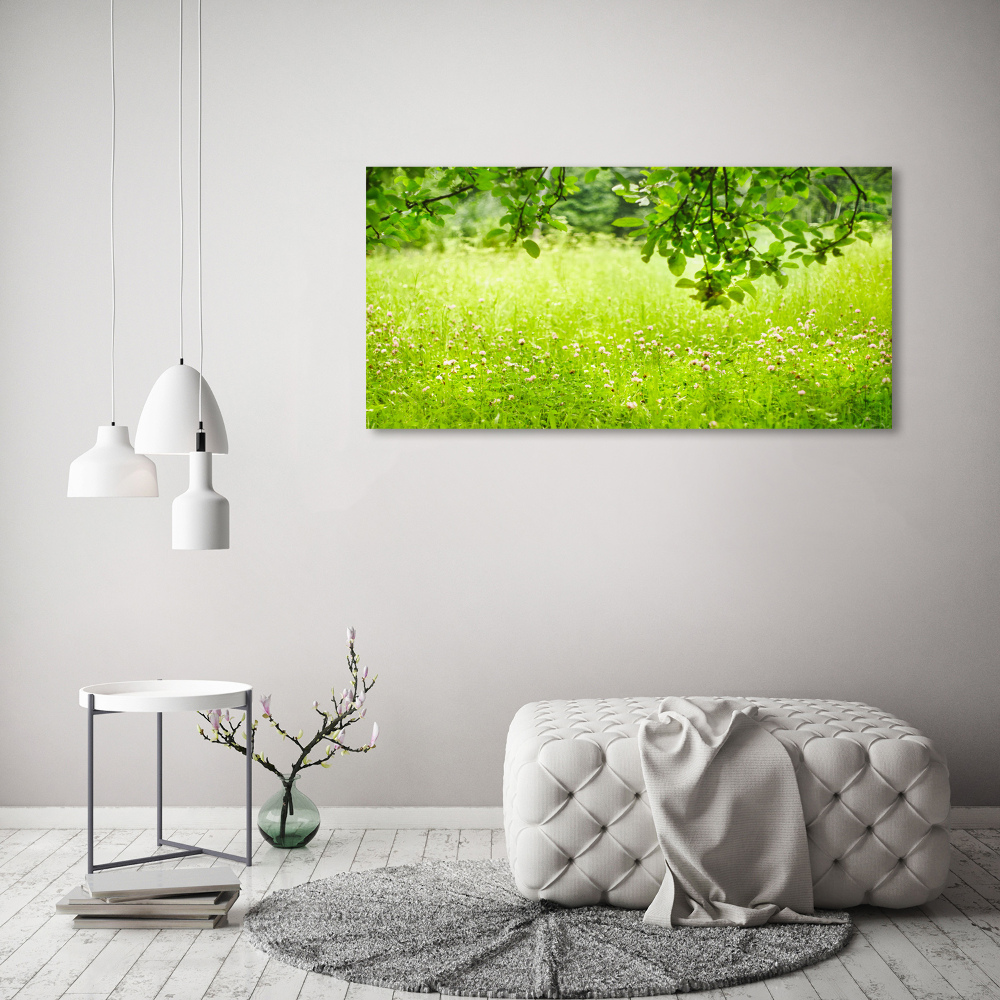 Tableau imprimé sur toile Pré vert