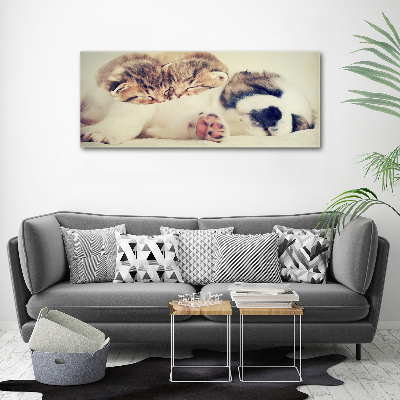 Tableau imprimé sur toile Deux chats et un chien