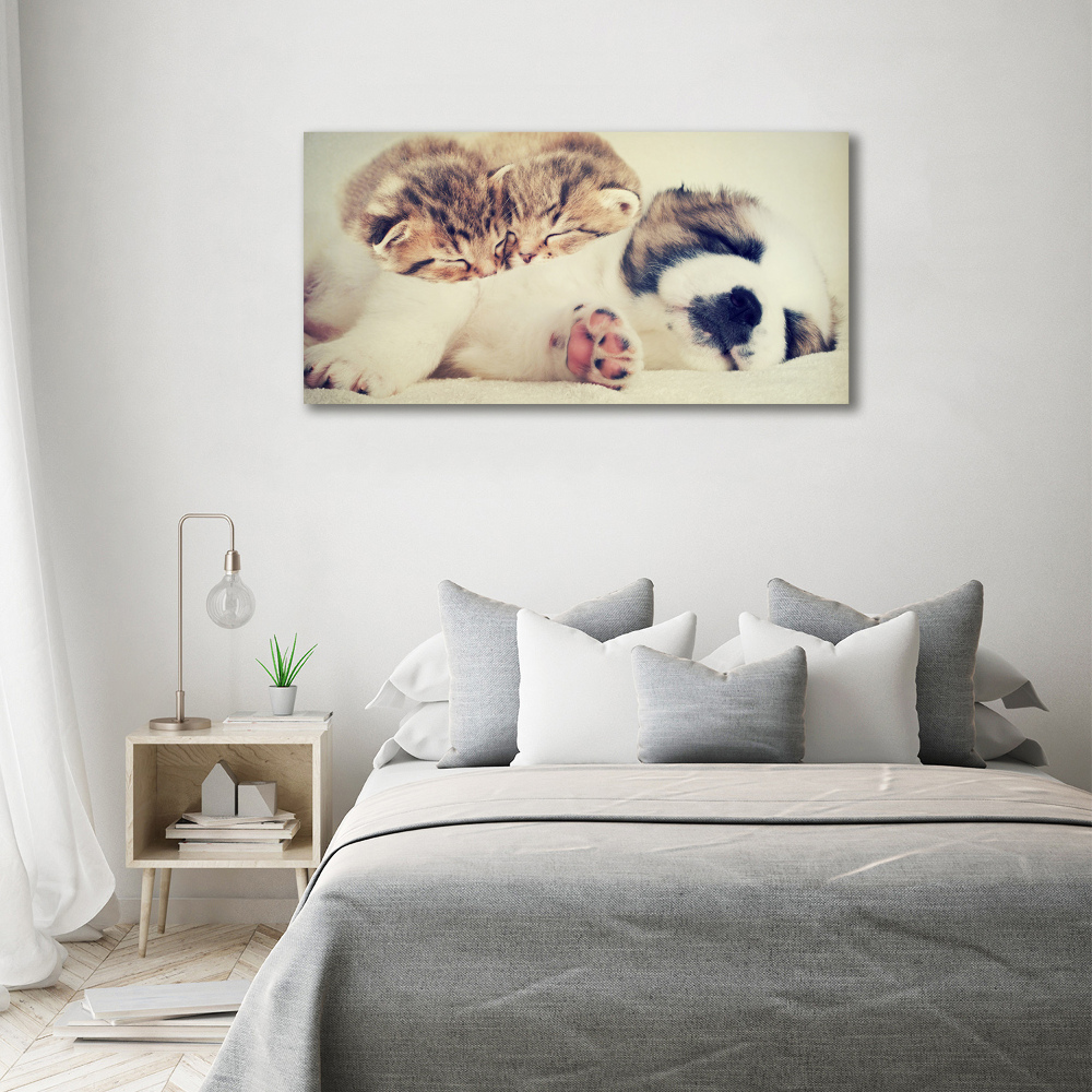 Tableau imprimé sur toile Deux chats et un chien