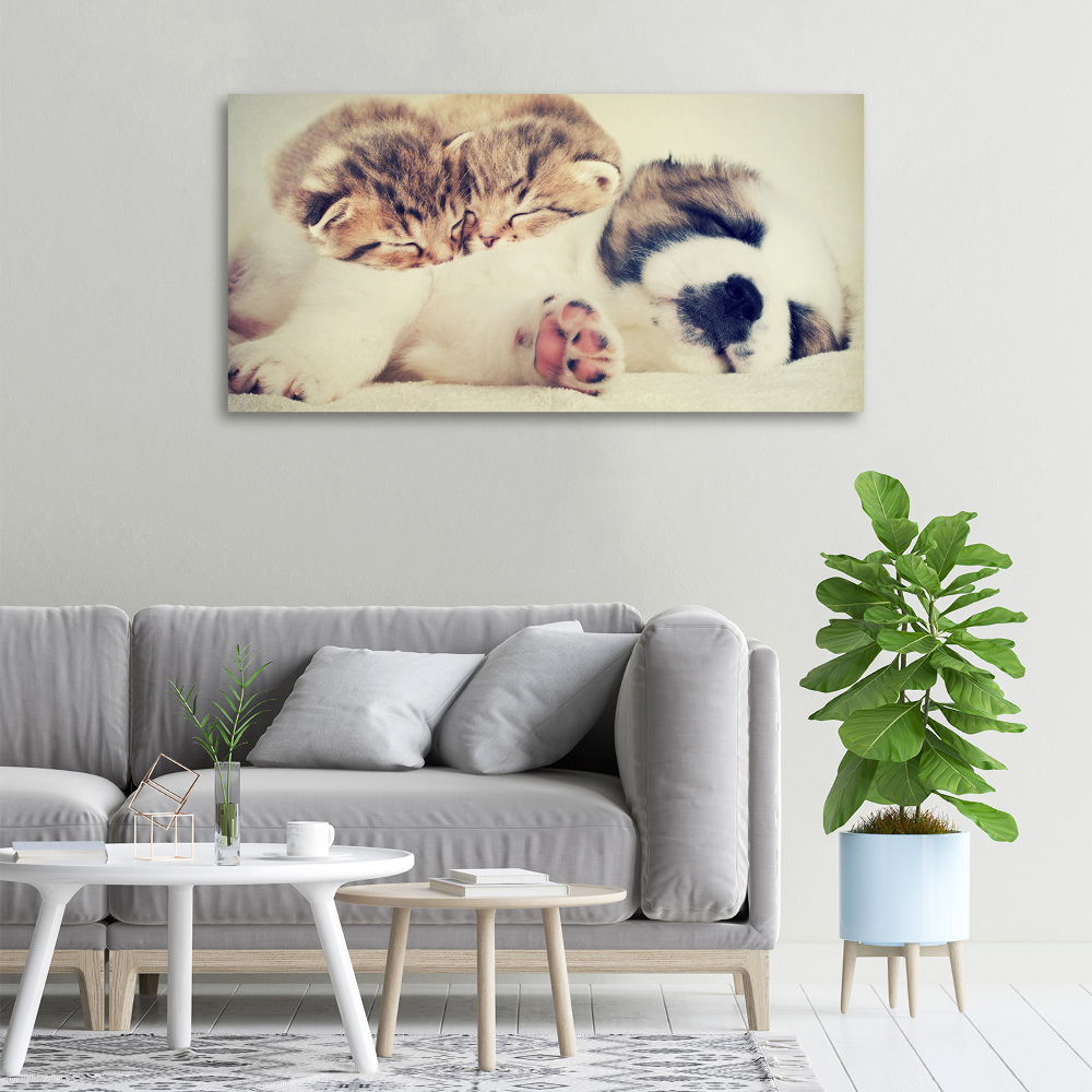 Tableau imprimé sur toile Deux chats et un chien